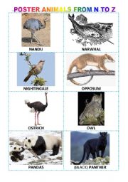 English Worksheet: alphabetical poster of animals from N to Z + exercises + game