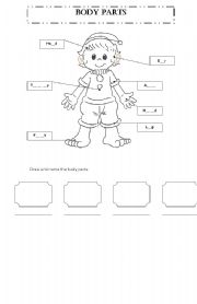 English Worksheet: Body parts