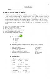English Worksheet: Test: Present Simple