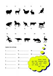 English worksheet: ANIMALS