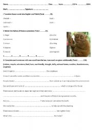 English worksheet: Natural environment