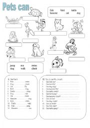 English Worksheet: Pets can