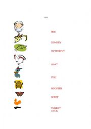 English worksheet: Animals