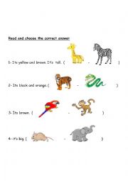 English Worksheet: description of animals 