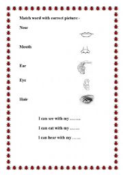 English worksheet: Parts of the body