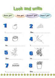 English Worksheet: have got - affirmative and negative form