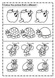 English Worksheet: Same & Different (Odd one out)