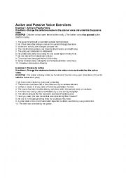 English Worksheet: active and passive voice worksheet