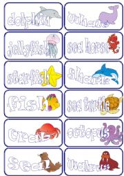 sea animals flashcards