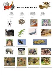 Wild animals vocabulary