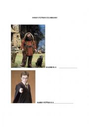 English Worksheet: Harry Potter Vocabulary