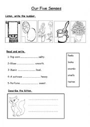 English Worksheet: Our Five Senses