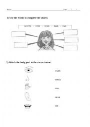 English Worksheet: Parts of the body and 5 senses