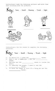 English Worksheet: the senses