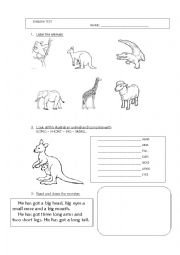 English Worksheet: animals and body