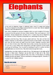 English Worksheet: Elephants