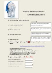 English worksheet: Saving baby elephants