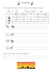 English worksheet: An animal quiz
