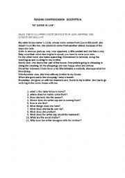 English worksheet: my sister in law, reading comprehension-description