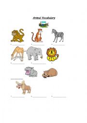 English Worksheet: Going to the Zoo Worksheets 
