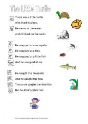 English Worksheet: The Little Turtle