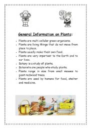 English Worksheet: CLIL lesson: PLANTS
