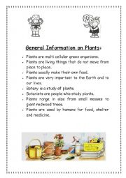 English worksheet: CLIL lesson: PLANTS