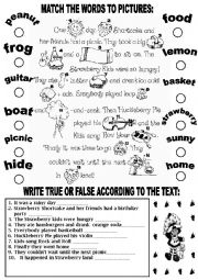 English Worksheet: STRAWBERRR SHORTCAKE PICNIC