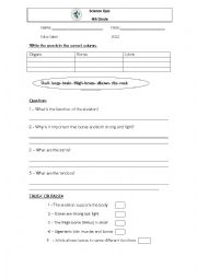 English worksheet: science activity