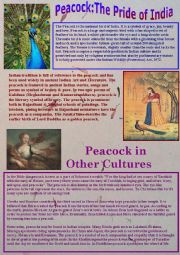 English Worksheet: Peacock: The Pride of India