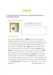 English Worksheet: DOGS