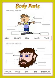 English Worksheet: BODY PARTS