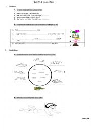 English worksheet: Quiz