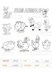 English Worksheet: farm animals