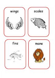 English Worksheet: Animals Body Parts - 1