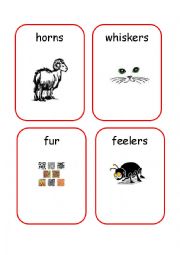 English Worksheet: Animals Body Parts - 2