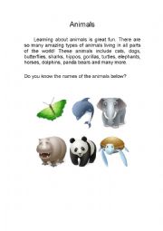 English Worksheet: Animals 