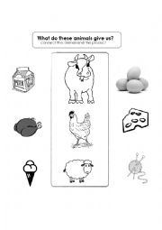 English worksheet: what do these animals give us?