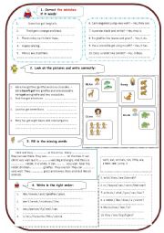 English Worksheet: AT the zoo (Part 2)