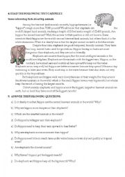 English Worksheet: Interesting facts about big animals