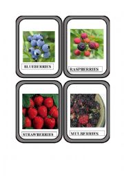 English Worksheet: FRUITS PART-3