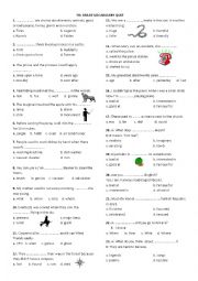 English Worksheet: Vocabulary Quiz