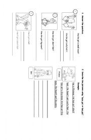 English Worksheet: Have got - Has got (descriptions) exercises