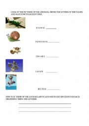 English Worksheet: Madagascar 