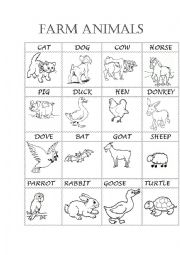 English Worksheet: FARM ANIMALS