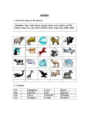 English worksheet: Animsls 