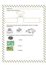 English Worksheet: Plant and animals