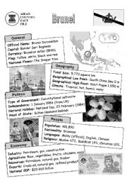 English Worksheet: ASEAN countries fact file - Brunei