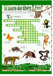 English Worksheet: Habitats - Rainforest