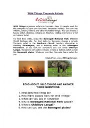 English worksheet: Wild Things Safaris